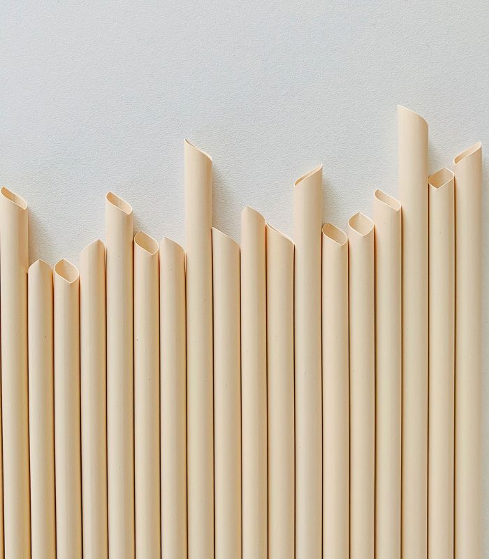 Bamboo Fiber Straw