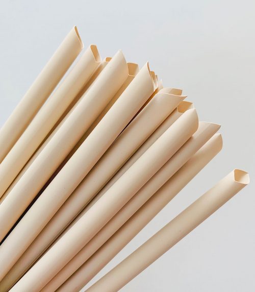 Bamboo Fiber Straw