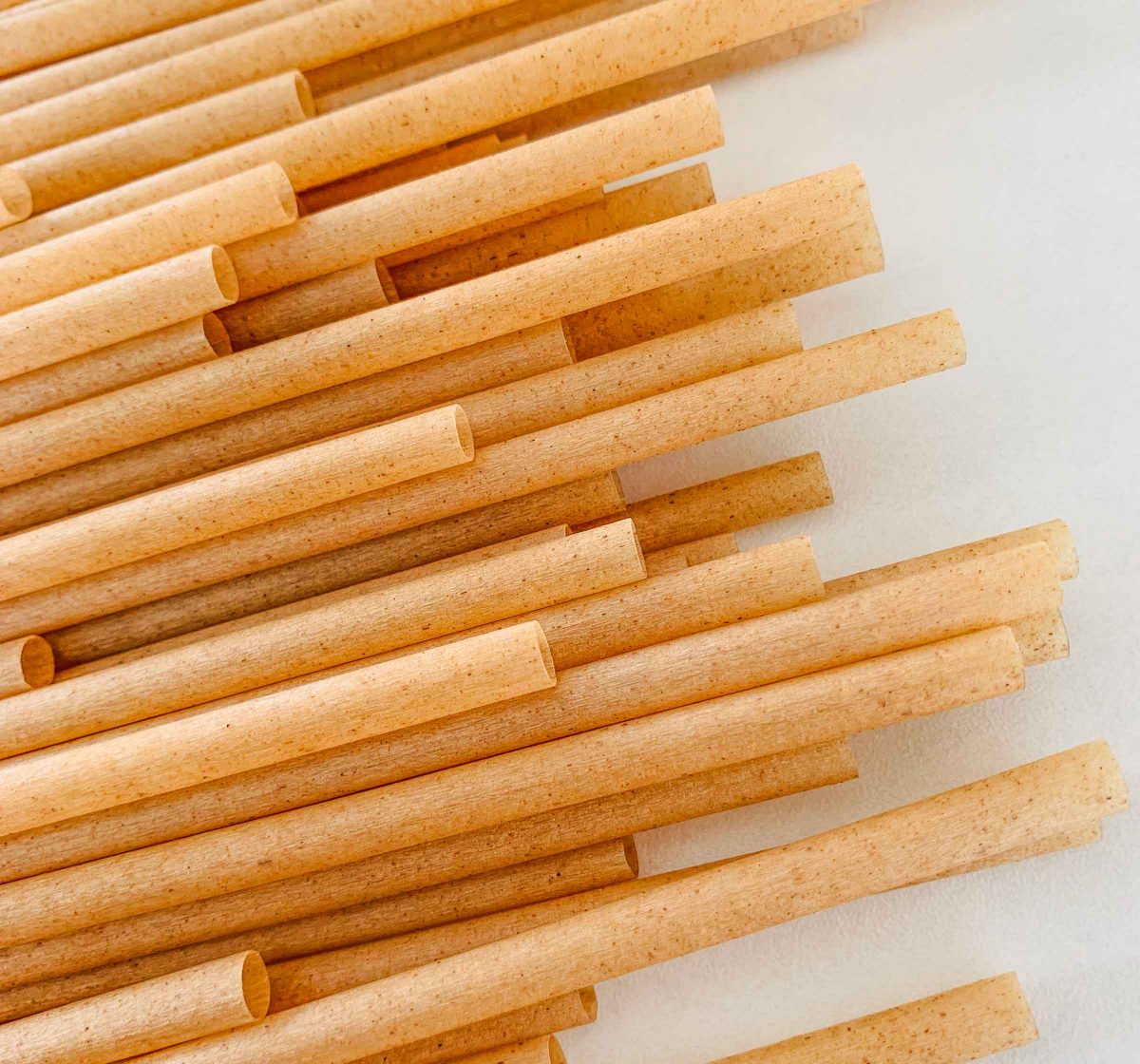 sugarcane-fiber-straw-1200×1120