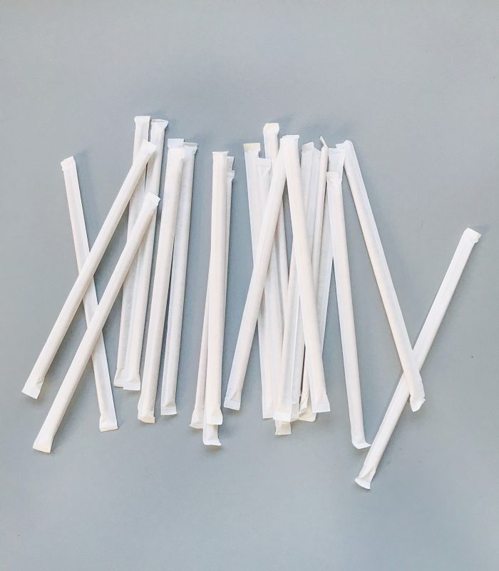 Sugarcane Fiber Straw (white)