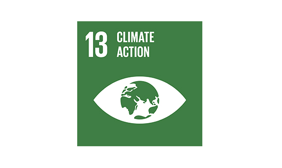 Going-net-zero-SDG-570×370